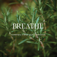 Load image into Gallery viewer, Breathe Shower Steamers 3 Pack