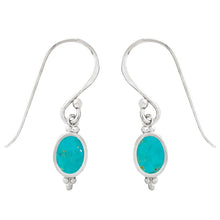 Load image into Gallery viewer, Moon Song Turquoise Earrings