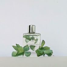 Load image into Gallery viewer, Herbal Infused Blue Hydrangea with Lime & Sea Salt Essence Body Oil - Desert to Ocean