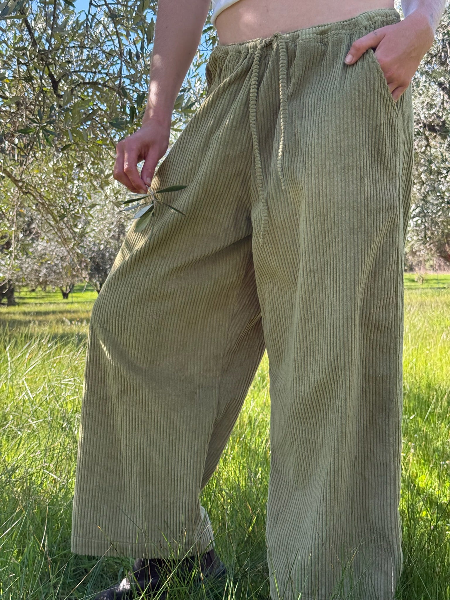 Denmark Lounge Pant Forest - Desert to Ocean