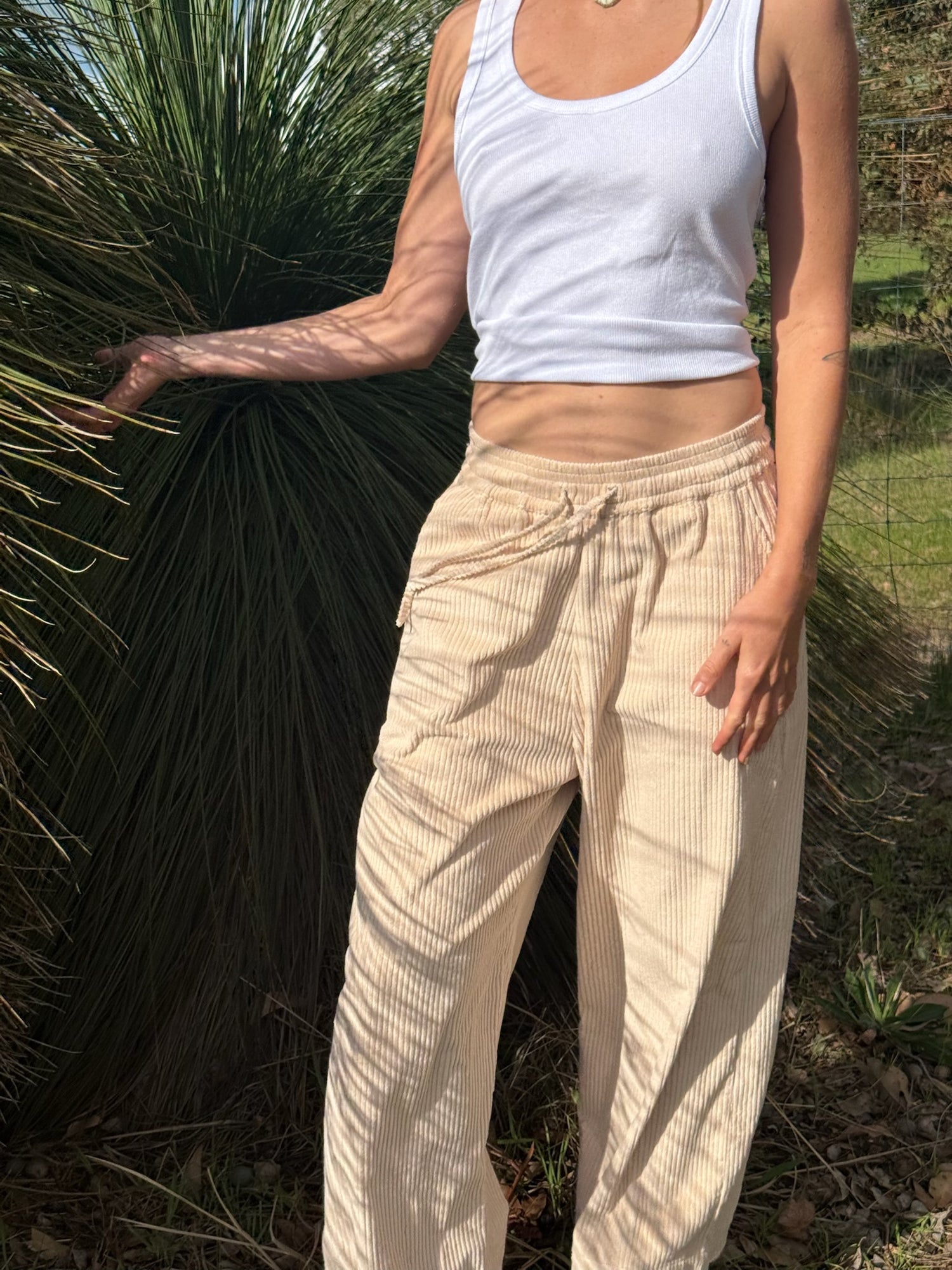 Desert to Ocean