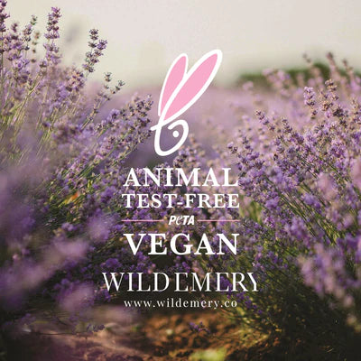 Best Sellers Shower Steamer Box Set of 6