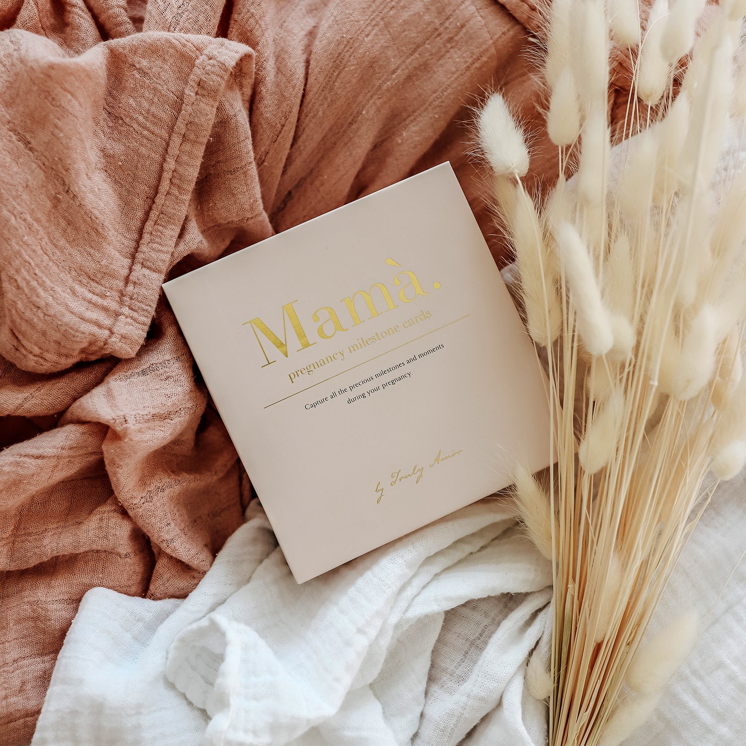 Mama` Pregnancy Milestone Cards