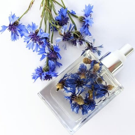 Herbal Infused Blue Cornflower w Sweet Pea & Blackberry Body Oil