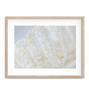 White Fern Photographic Print - Desert to Ocean