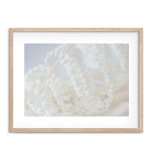 Load image into Gallery viewer, White Fern Photographic Print
