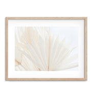 Vanilla Palms Photographic Print - Desert to Ocean