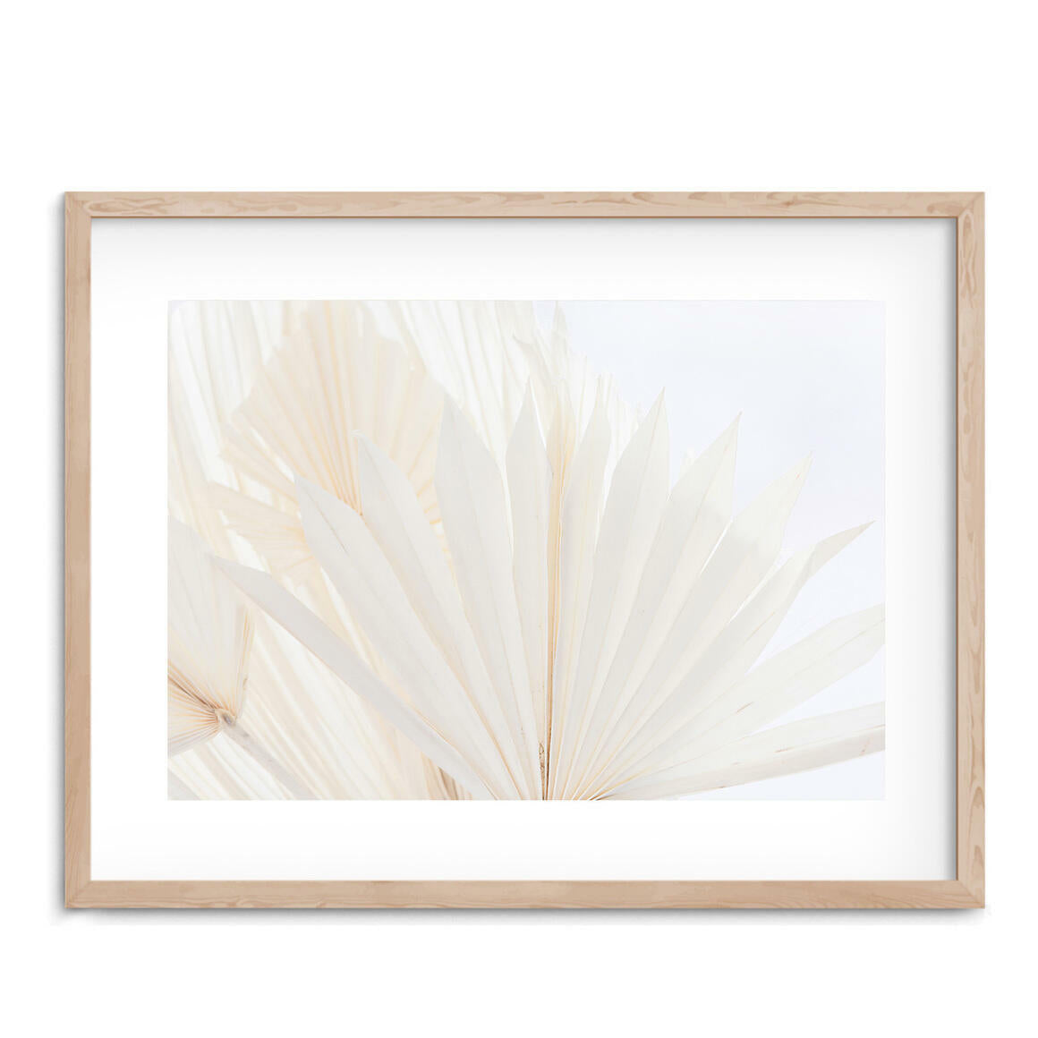 Vanilla Palms Photographic Print - Desert to Ocean