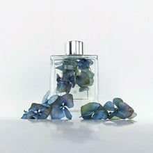 Load image into Gallery viewer, Herbal Infused Blue Hydrangea with Lime &amp; Sea Salt Essence Body Oil
