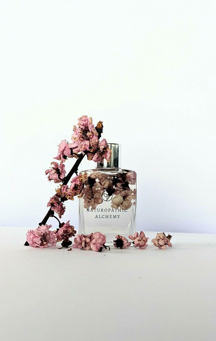 Herbal Infused Body Oil Cherry Blossom with Bergamot Citrus Essence 15ml