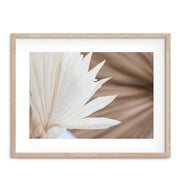 Coco Palms Photographic Print - Desert to Ocean