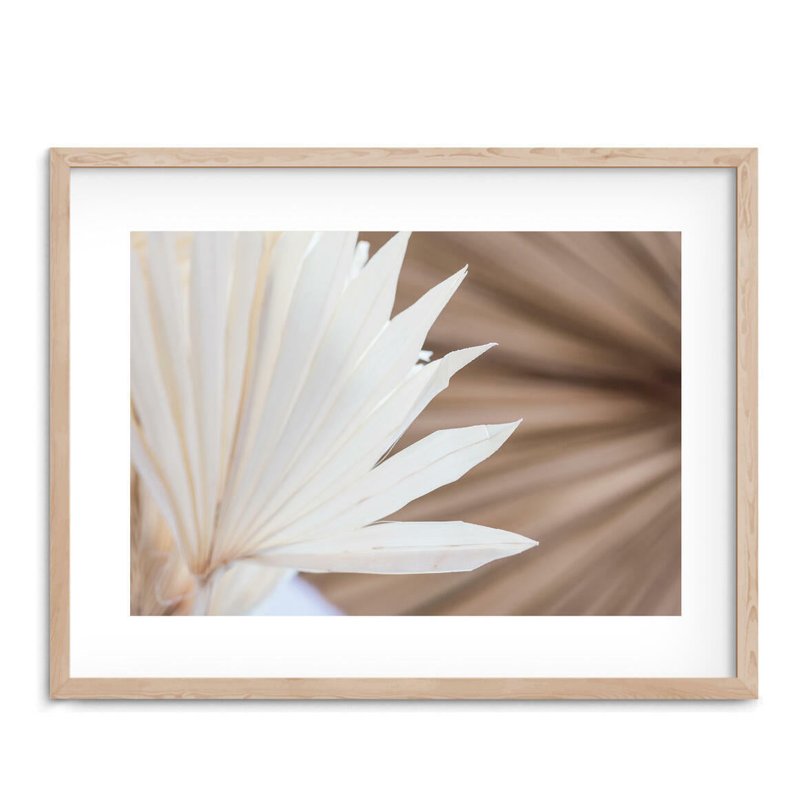Coco Palms Photographic Print - Desert to Ocean
